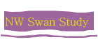 Swan Rescue South Wales - The North West Swan Study